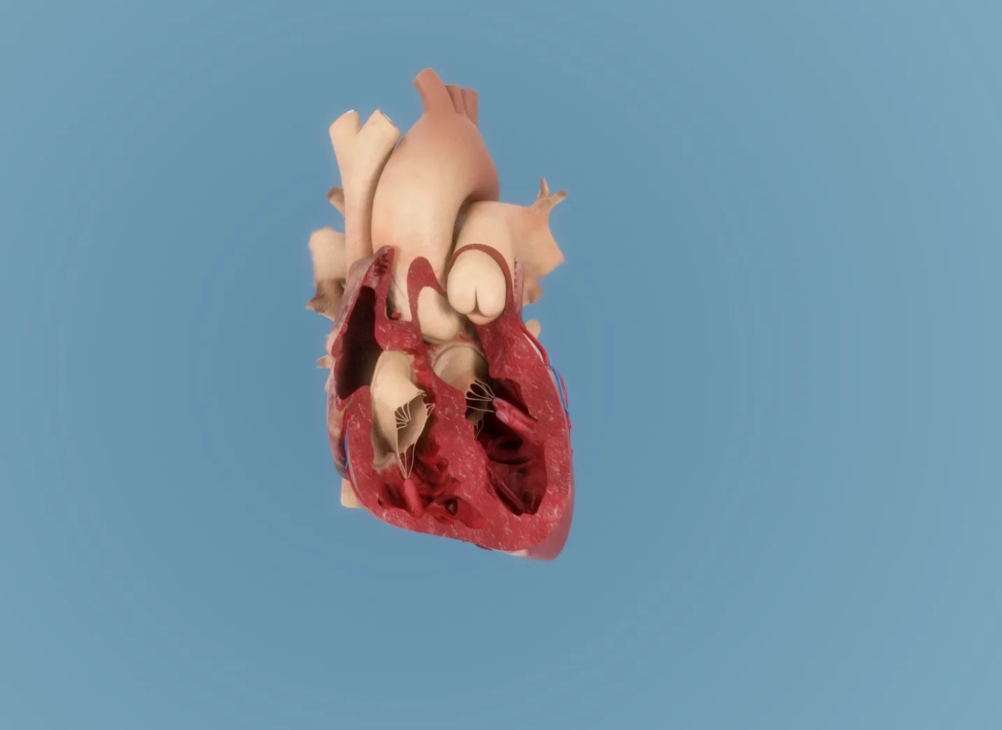 Thieme Compliance —  Heart Failure